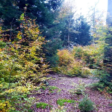 Confortable / 70 M² / Superbe Jardin * Pouxeux