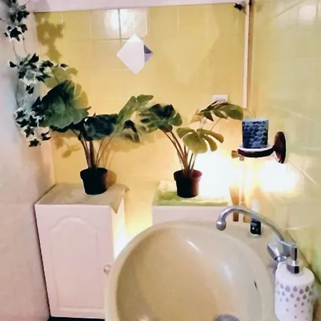 Confortable / 70 M² / Superbe Jardin