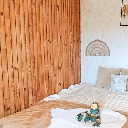 Confortable / 70 M² / Superbe Jardin Daire