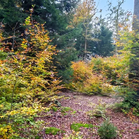 Confortable / 70 M² / Superbe Jardin Daire