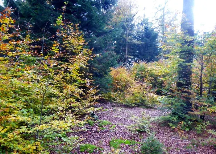 Confortable / 70 M² / Superbe Jardin * Pouxeux