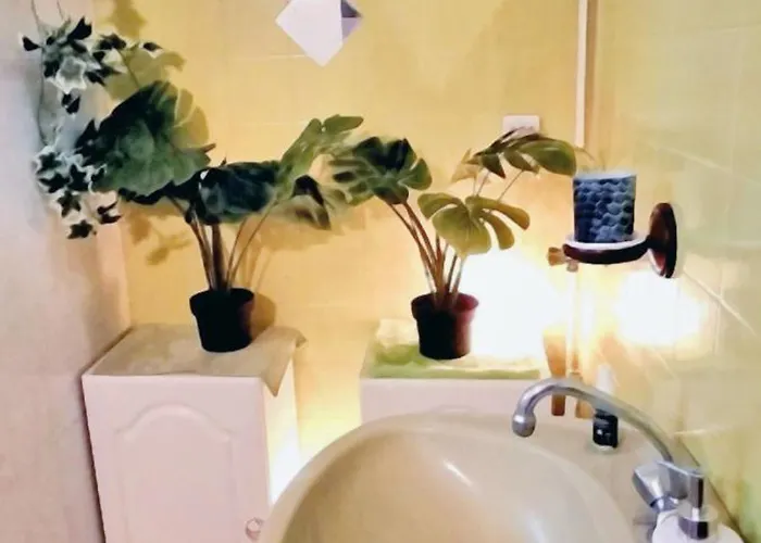 Confortable / 70 M² / Superbe Jardin